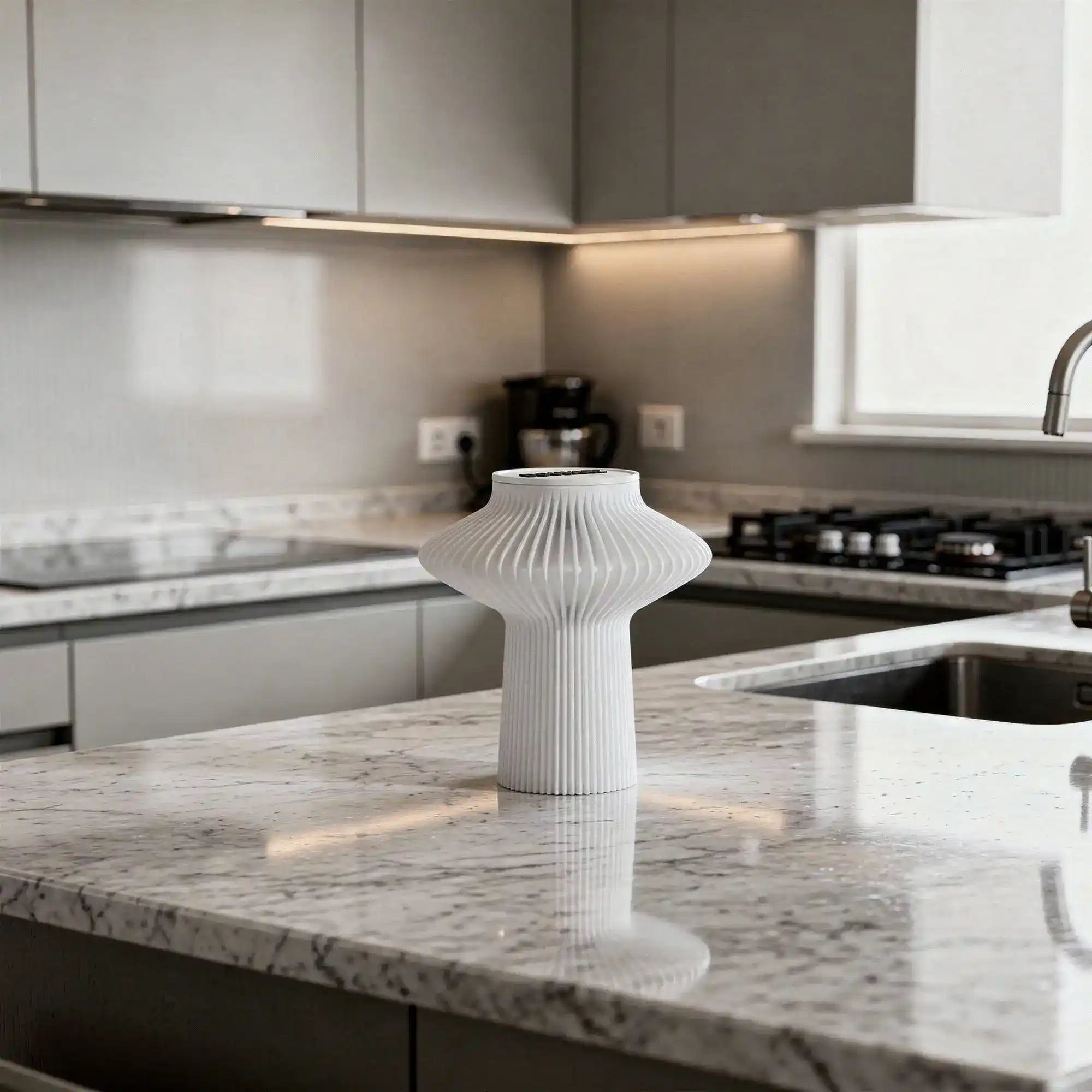 Charlotte Light BOUVART